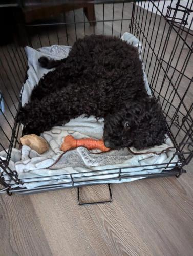 PXL_20240719_161537407