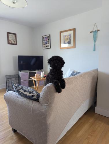 PXL_20240722_133138629.MP