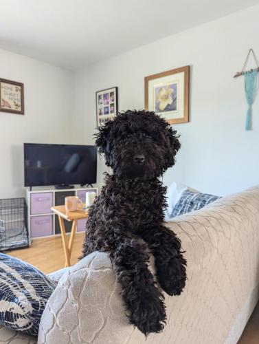 PXL_20240722_133141736.MP