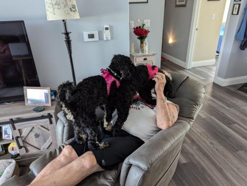 PXL_20240731_174246497.MP