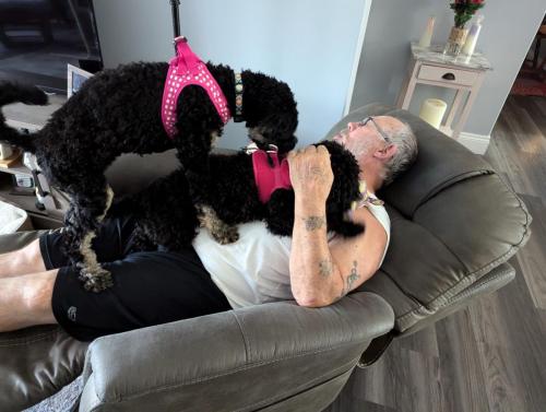 PXL_20240731_174255873.MP