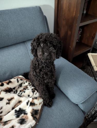 PXL_20240802_013232241