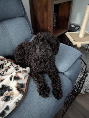 PXL_20240802_013248014