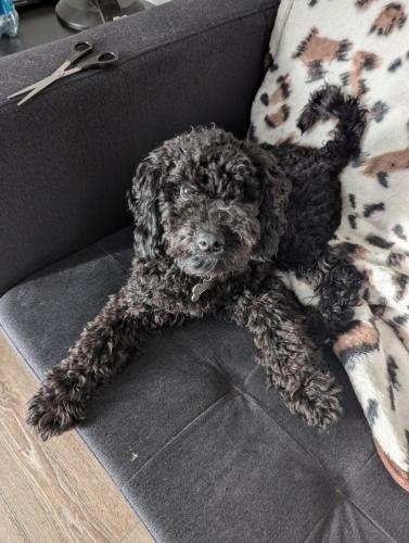 PXL_20240813_185050186