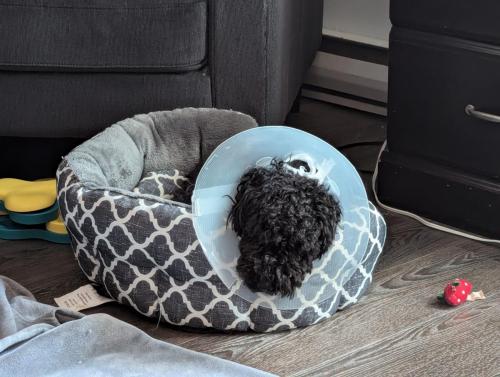 PXL_20240830_212435888