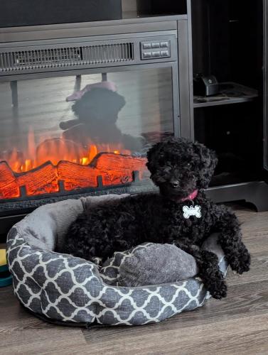 PXL_20240909_210836888