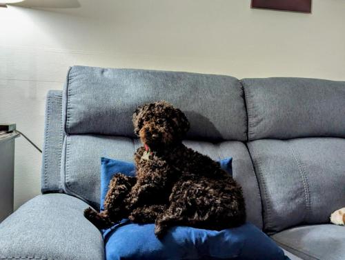 PXL_20240913_013659385.MP~2