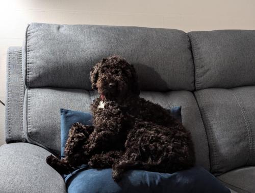 PXL_20240913_013707075