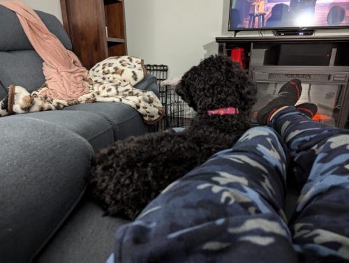 PXL_20240913_014020882