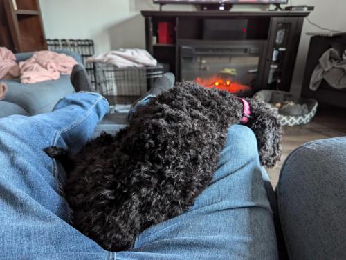 PXL_20240915_200536527