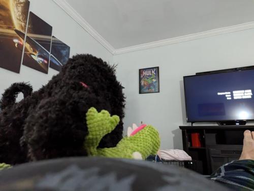 PXL_20240916_223010382.MP