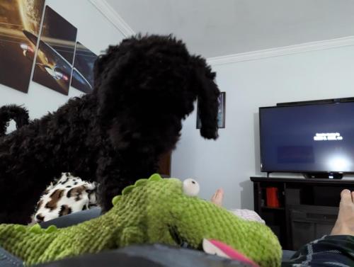 PXL_20240916_223012011.MP