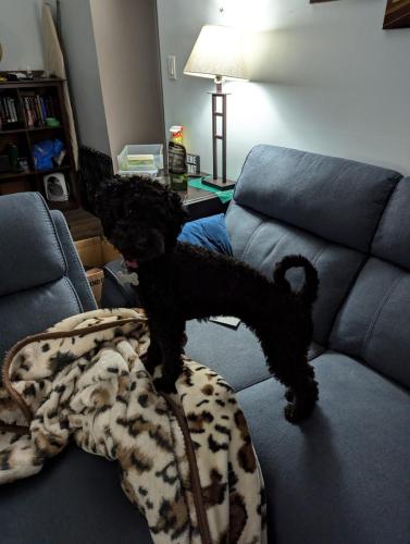 PXL_20241001_230910847.MP