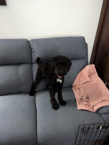 PXL_20241001_230931035