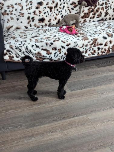 PXL_20241001_232043066