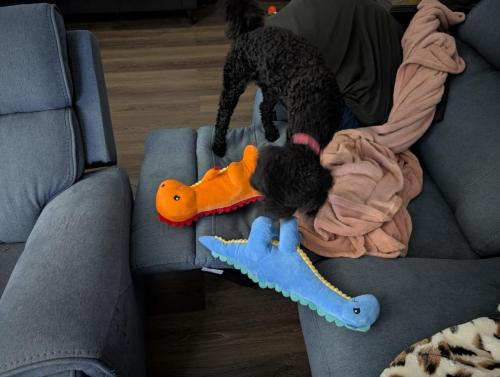 PXL_20250319_223234155