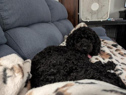 PXL_20250320_134911753