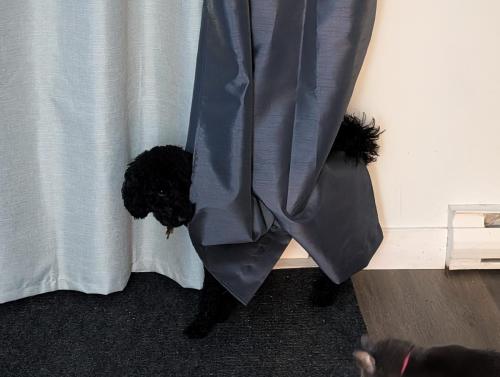 PXL_20250321_004252921.NIGHT