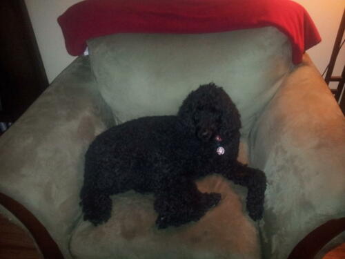 Sophie's First day with us