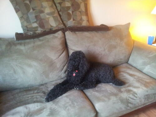 Sophie's First day with us