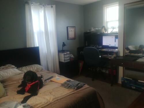 Her bedroom at my Brother's.  she let me use the bed too. lol