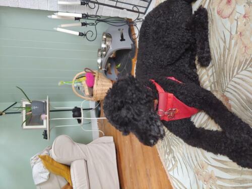 Hanging at my brothers.