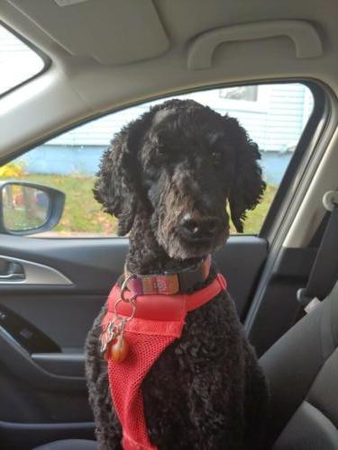You best be getting this car moving, i want to go to the park!