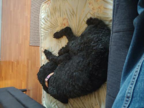 Tired, it was a good day.