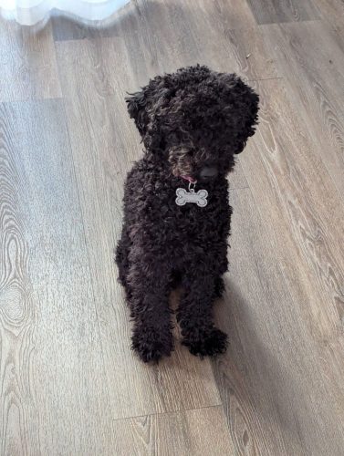 464690242 10159906008645194 3037934985694359707 n 10159906008350194