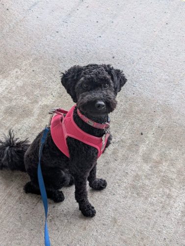 530256587 10161041804905194 7198016533197589173 n