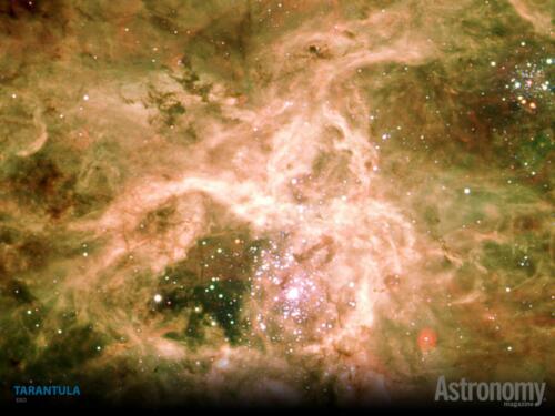 tarantula-nebula-1600